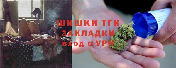 сатива Горняк