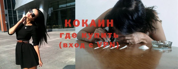 сатива Горняк