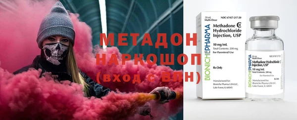 сатива Горняк