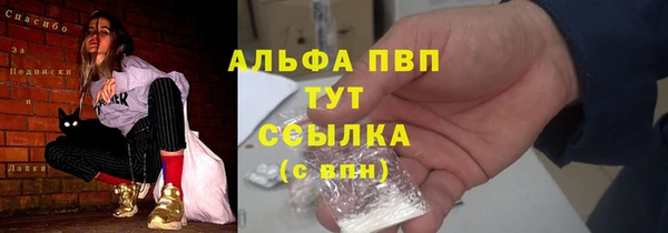 сатива Горняк