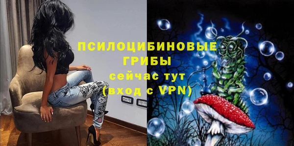 сатива Горняк