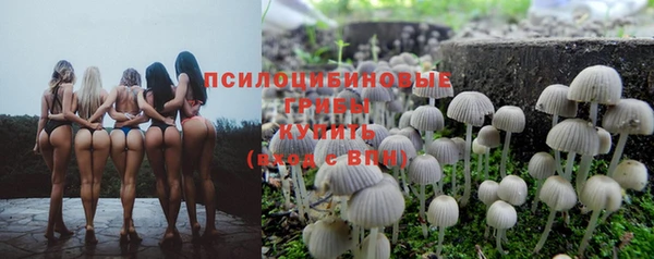 сатива Горняк