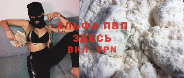 сатива Горняк