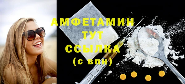 сатива Горняк