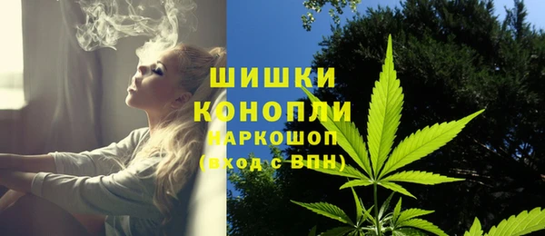 молекула духа Горно-Алтайск