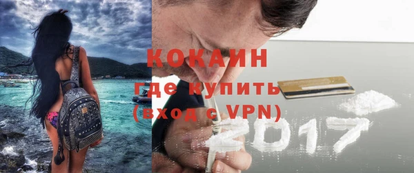 сатива Горняк