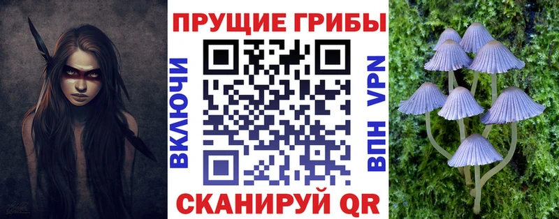 Псилоцибиновые грибы мицелий  наркошоп  Москва 